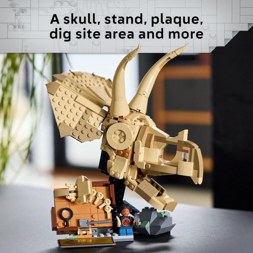Triceratops Fossil Discovery